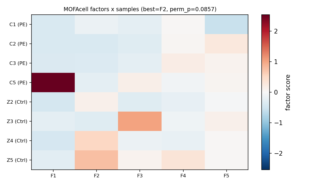 MOFAcell factors by sample